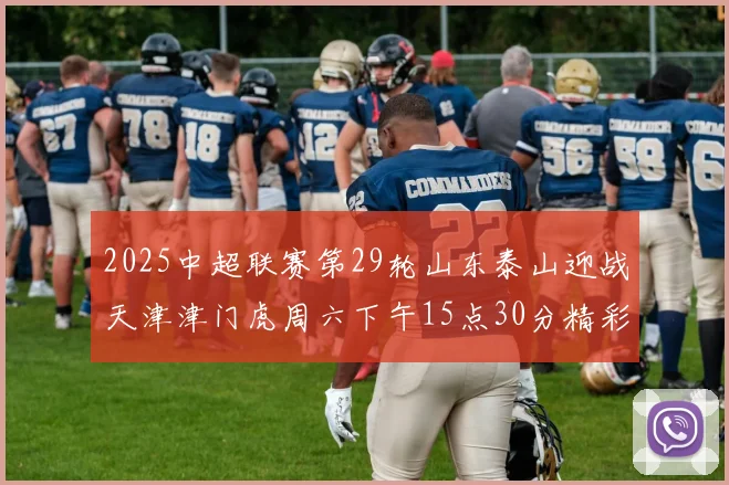 2025中超联赛第29轮山东泰山迎战天津津门虎周六下午15点30分精彩开战